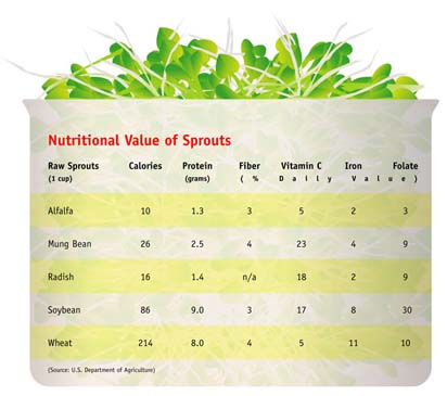 sprout comparison chart