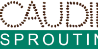 Caudill logo